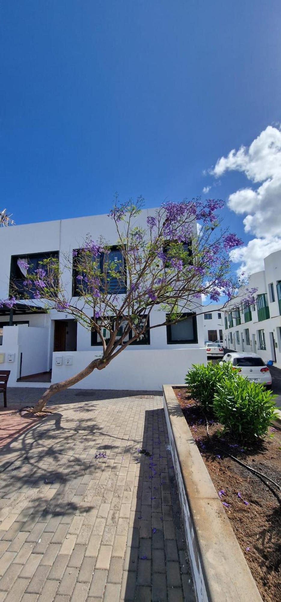 Apartamento Margarita Playa Blanca  Exterior foto