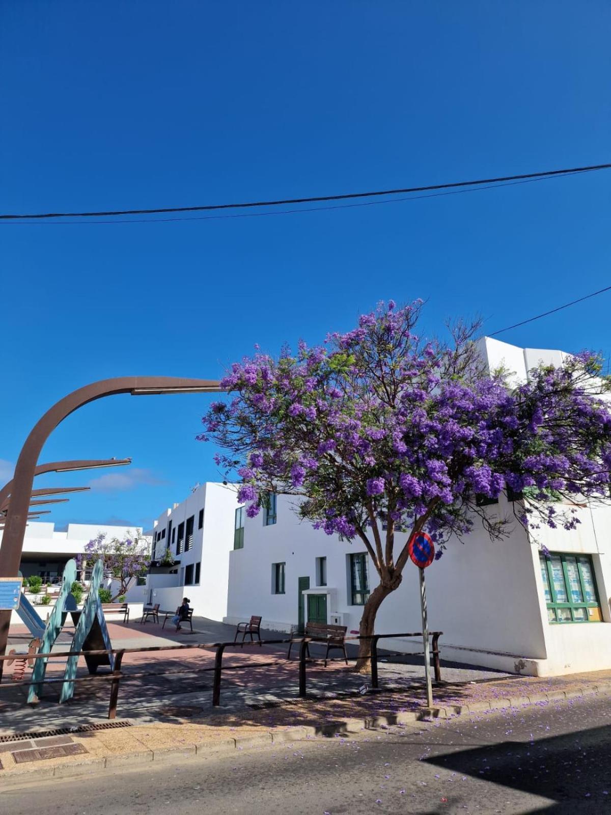 Apartamento Margarita Playa Blanca  Exterior foto